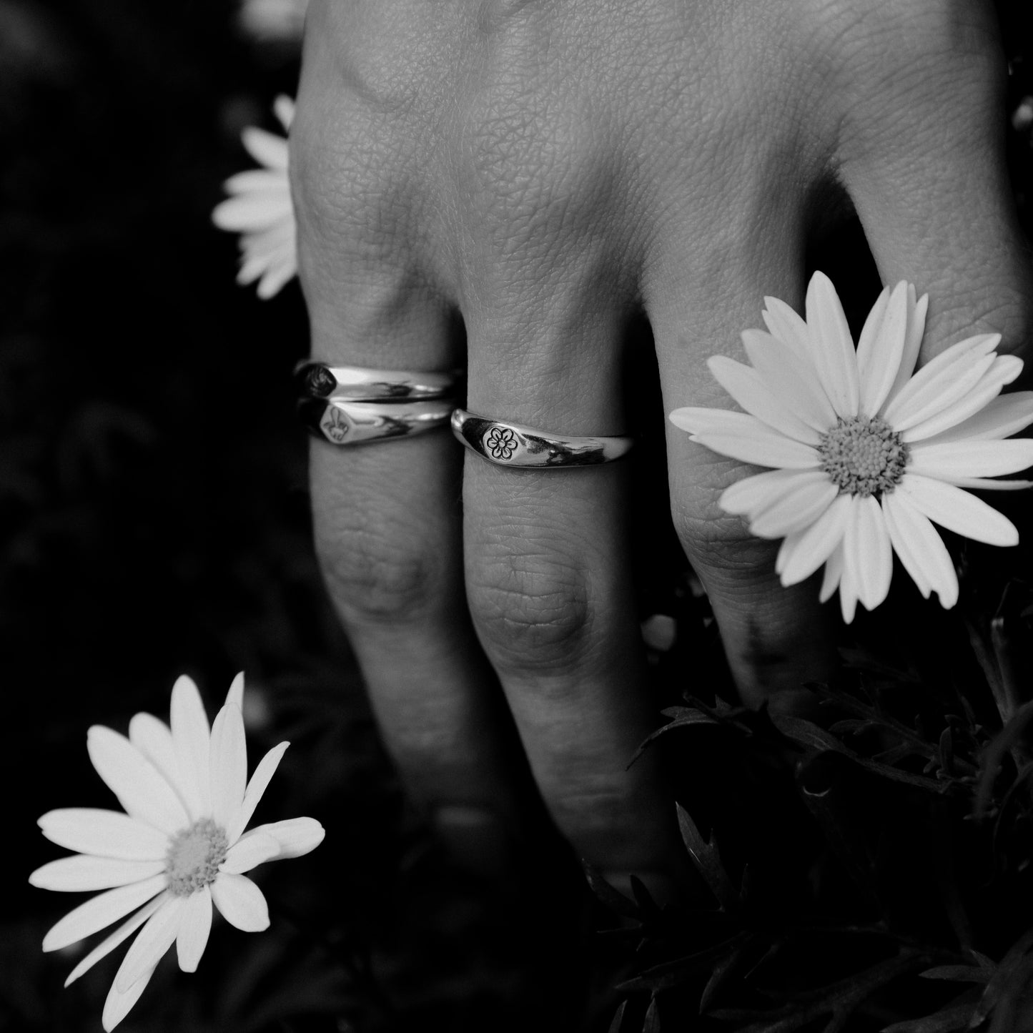 Flower - Stacker
