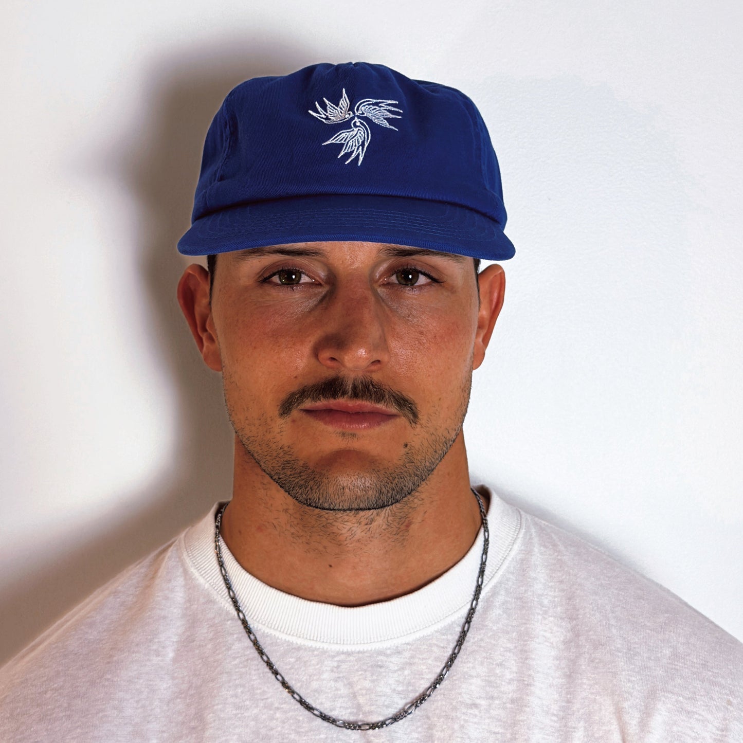 Sparrow 5 Panel