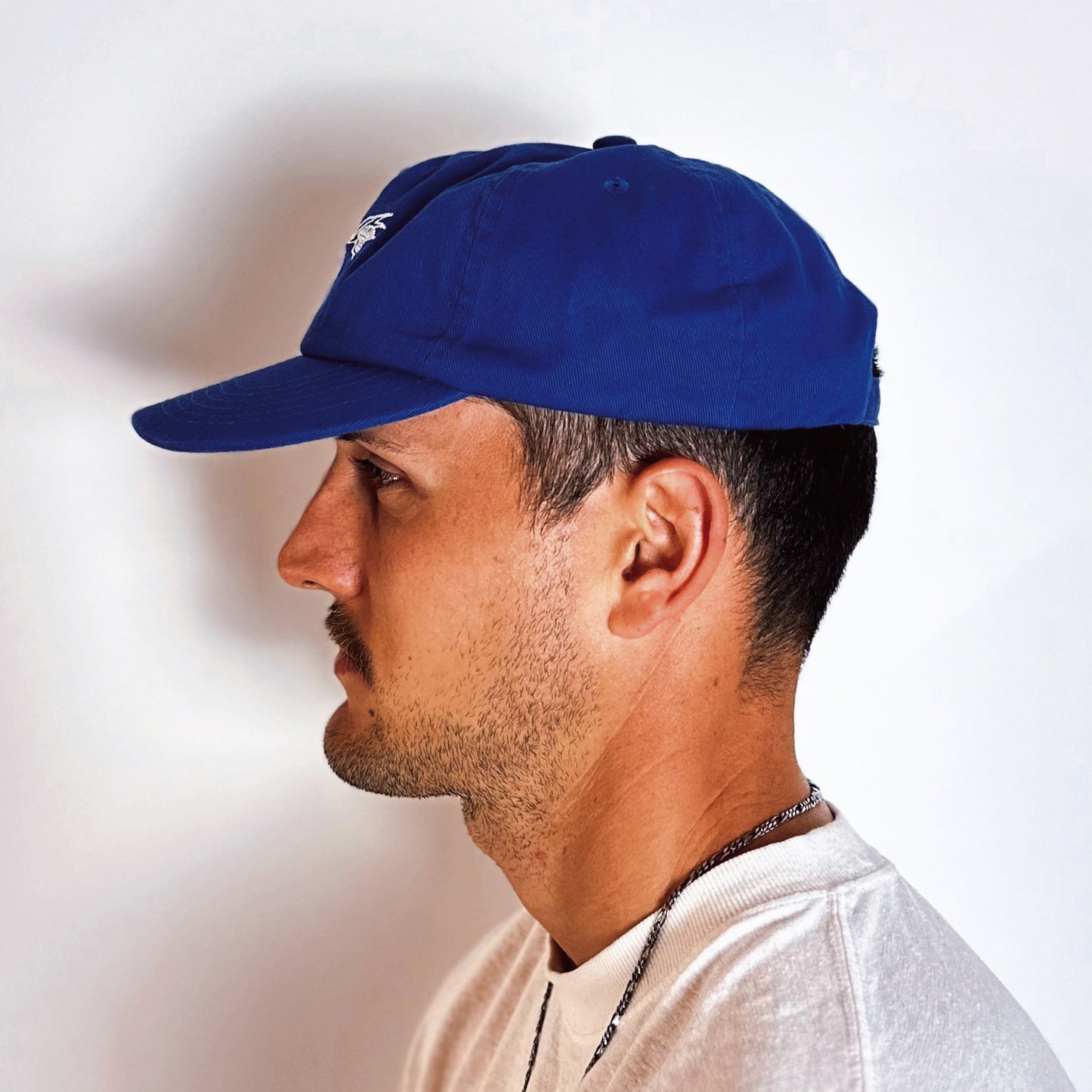 Sparrow 5 Panel